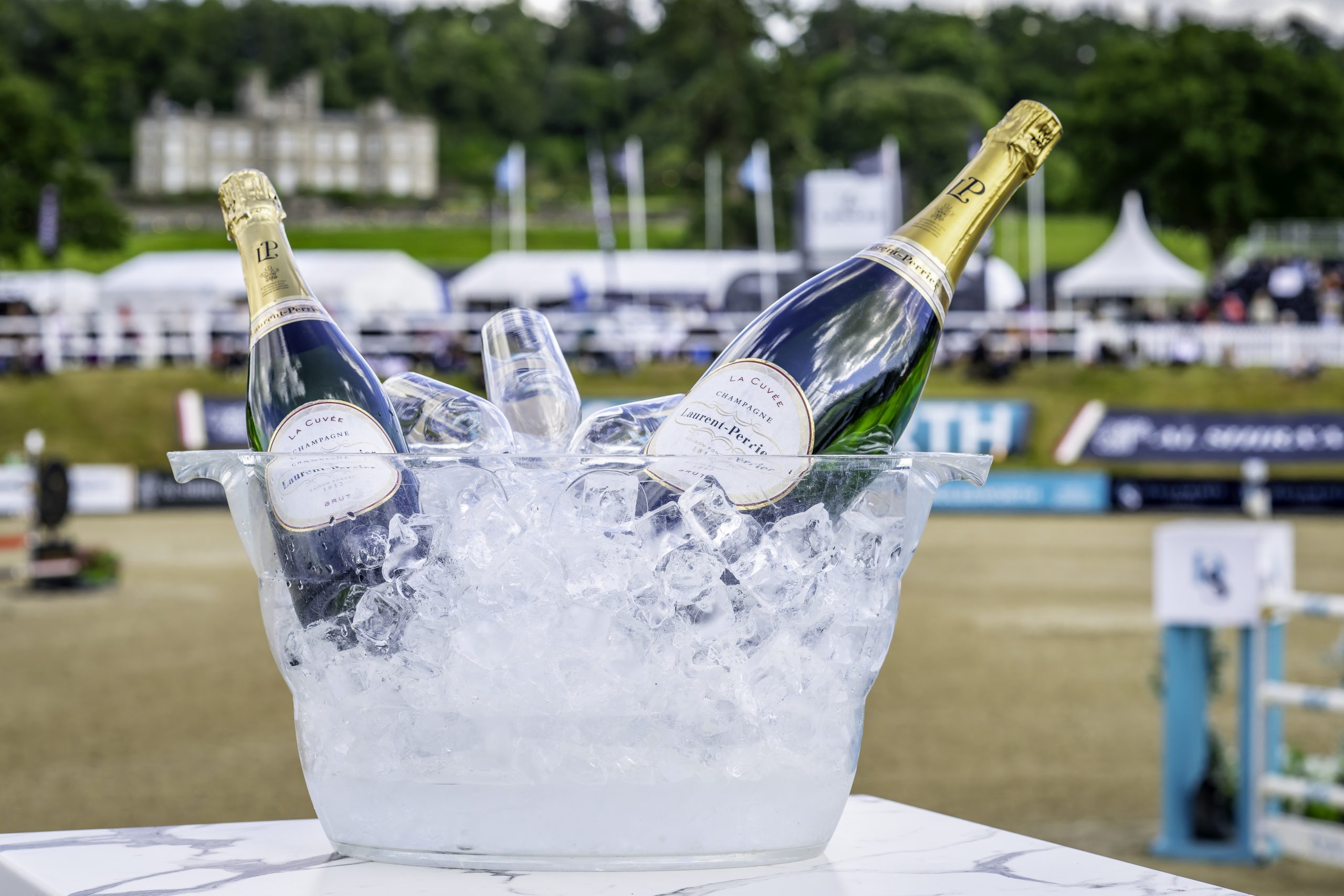 Champagne Bucket filled with ice, champagne and glasses in front of the Bolesworth backdrop.