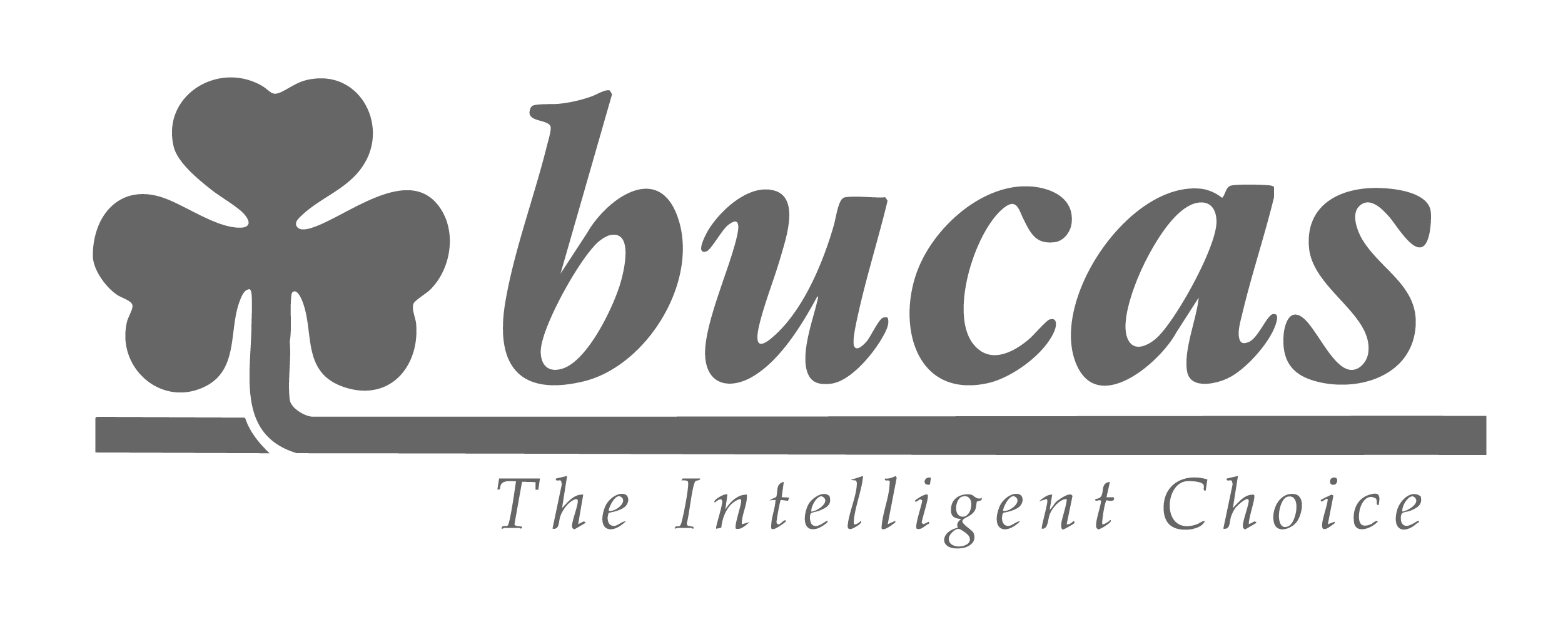 Bucas, the Intelligent choice Logo image