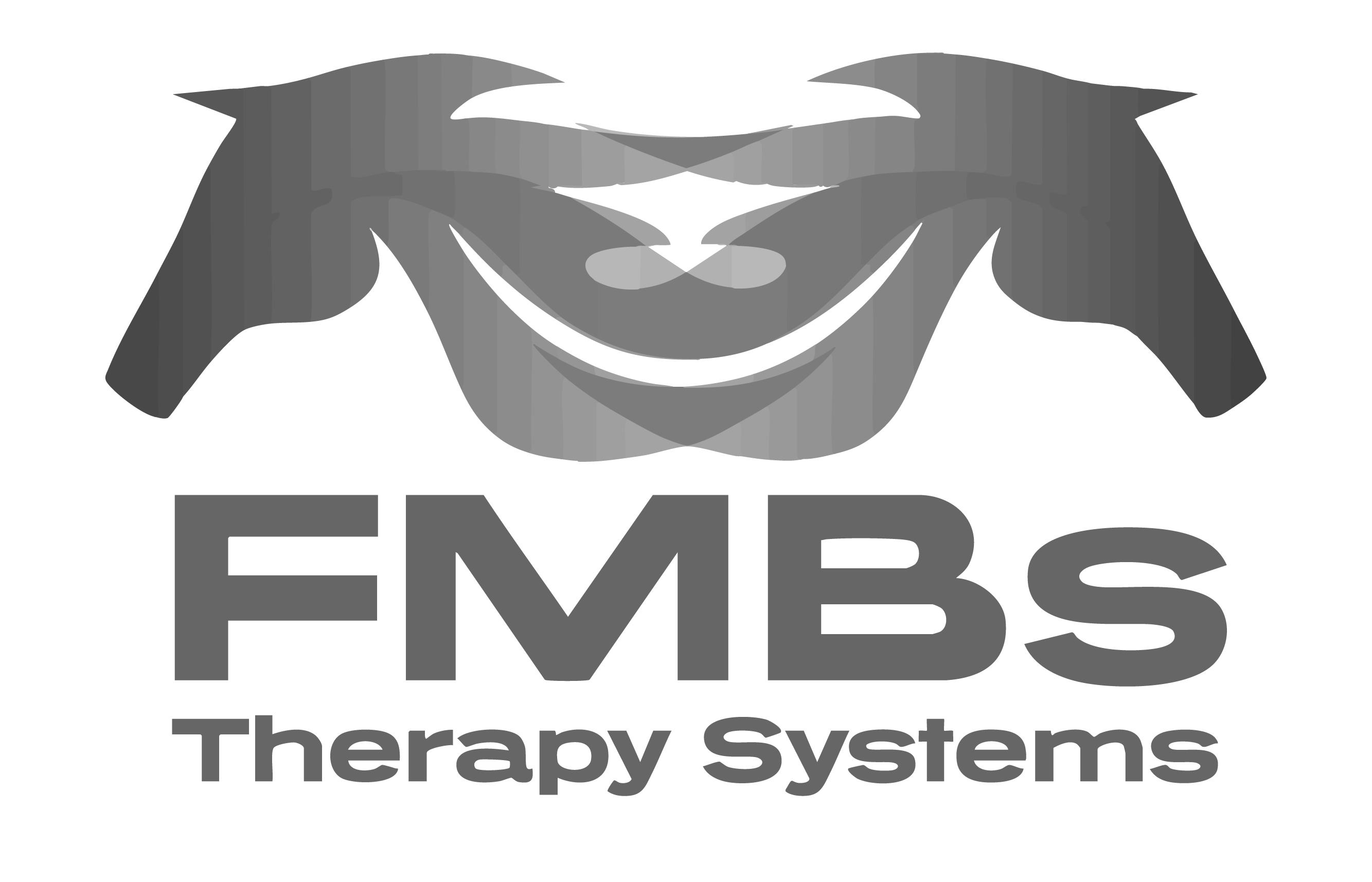 FMBs Therapy Systems Logo image